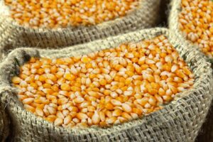 corn, market, bassinet, bags, yellow, food, power, corn, corn, corn, corn, corn